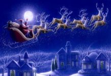 Dalla Newsletter AdEPP Buon Natale e Buon 2018