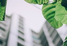 Tassonomia Europea sulla Finanza sostenibile