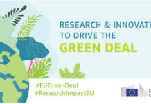 Green Deal Call. Il bando con 11 aree tematiche