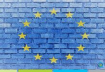Newsletter “Professioni in Europa” – novembre 2020