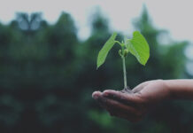 Regione Lazio “Promuovere sviluppo agricoltura bio”