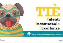 Enpav. Aperte le candidature per il progetto TIE (Talenti Incontrano Eccellenze)