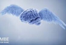 Gimbe. Al via il bando per 24 borse di studio