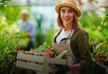 Agroalimentare. Pubblicato il primo bando