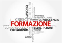 Inapp. Anteprima del Rapporto Plus. Formazione? Non pervenuta