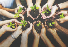 Agricoltura di precisione e digitale. Via ai contributi per investire su redditività e competitività