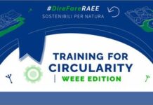 Enea. Borse di studio “Training for Circularity”