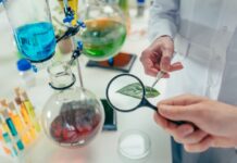 Bilancio di Previsione 2023, uno sguardo al futuro dell’Enpab