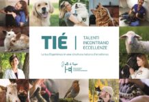 Enpav. Al via le candidature per il bando dedicato ai giovani