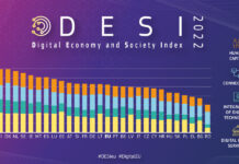 Desi. Dal capitale umano alla connettività e le imprese