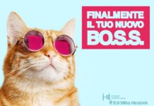 Enpav. Pubblicate le graduatorie per le borse di studio