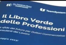 Pubblicato il “Libro verde delle professioni”
