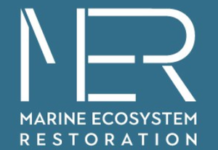 Ispra. A.A.A. Cercasi professionisti per progetto Pnrr Mer