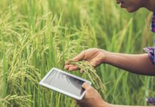 Agricoltura, stanziati oltre 5 milioni di euro per l’innovazione tecnologica