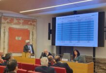 Rapporto annuale AdEPP. XIII Previdenza, VII Investimenti, IV Welfare