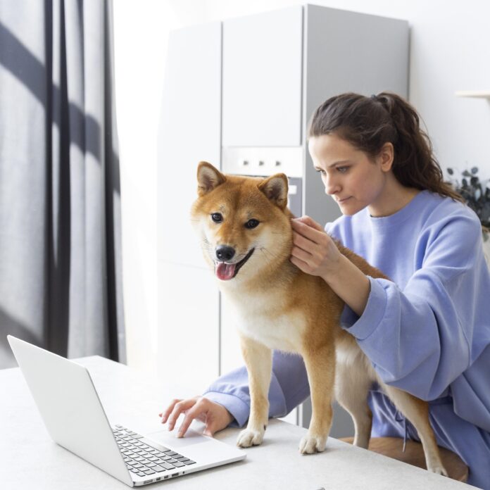veterinaria