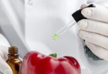 Enpab. Firmato il protocollo con Roma Capitale