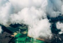 Cop30. Le linee politiche della Ue sul tavolo dei negoziati