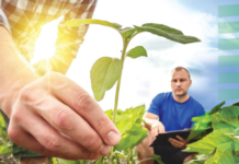 Enpaia. Da ottobre borse di studio in Diritto agroalimentare