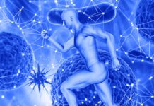 Dalla stagione riformatrice a quella trasformatrice