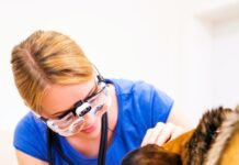 Enpav. Borse di Studio post-laurea per gli under 35