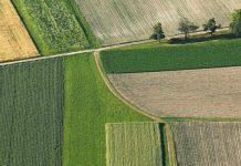 Agricoltura UE 2040: non è facile risolvere gli aspetti ambientali e socioeconomici