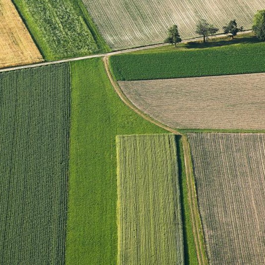 agricoltura scenari 2040